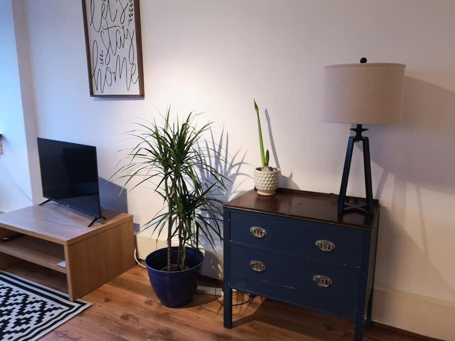 2 Bed Flat, Bounds Green, Piccadilly Line, London N11 Εξωτερικό φωτογραφία